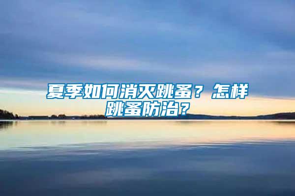 夏季如何消灭跳蚤？怎样跳蚤防治？