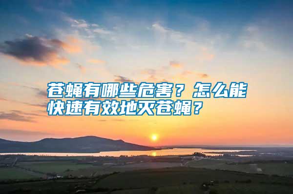 苍蝇有哪些危害？怎么能快速有效地灭苍蝇？