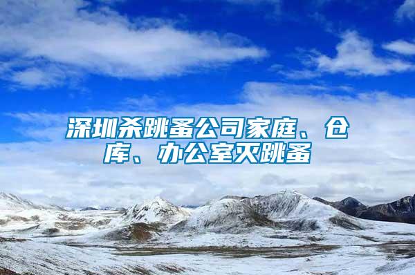 深圳杀跳蚤公司家庭、仓库、办公室灭跳蚤