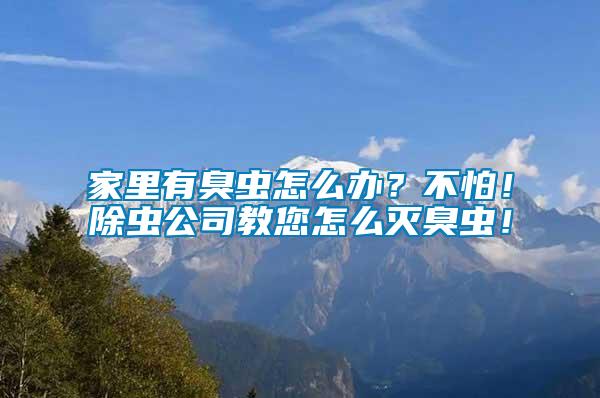 家里有臭虫怎么办？不怕！除虫公司教您怎么灭臭虫！