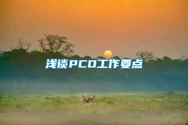 浅谈PCO工作要点