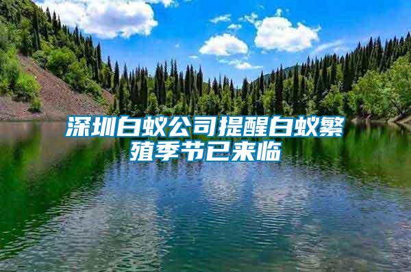 深圳白蚁公司提醒白蚁繁殖季节已来临