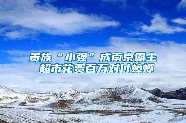 贵族“小强”成南京霸主 超市花费百万对付蟑螂