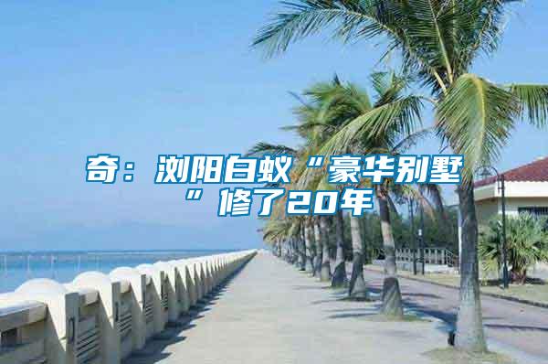 奇：浏阳白蚁“豪华别墅”修了20年