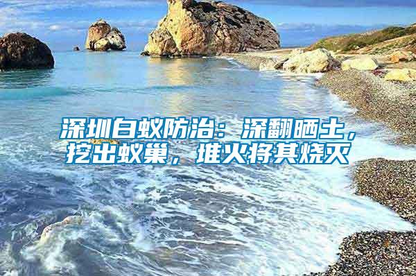 深圳白蚁防治：深翻晒土，挖出蚁巢，堆火将其烧灭