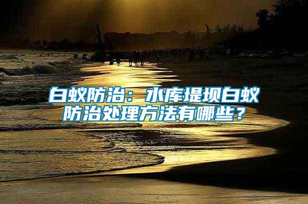 白蚁防治：水库堤坝白蚁防治处理方法有哪些？