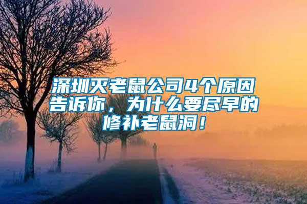 深圳灭老鼠公司4个原因告诉你，为什么要尽早的修补老鼠洞！