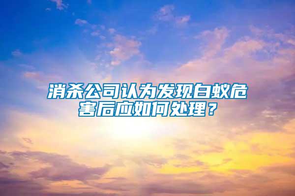 消杀公司认为发现白蚁危害后应如何处理？