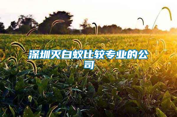 深圳灭白蚁比较专业的公司