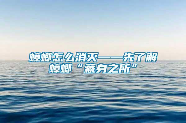 蟑螂怎么消灭——先了解蟑螂“藏身之所”