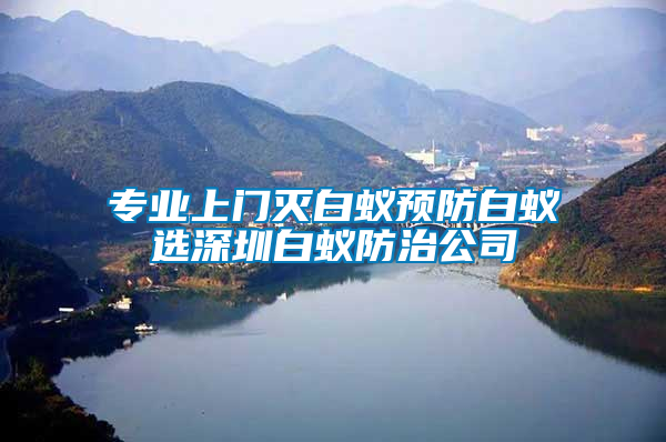 专业上门灭白蚁预防白蚁选深圳白蚁防治公司