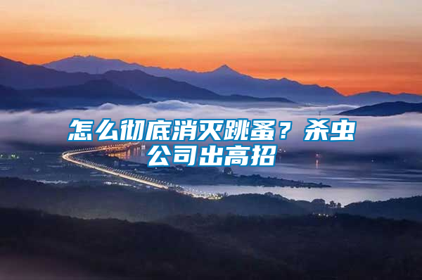 怎么彻底消灭跳蚤？杀虫公司出高招