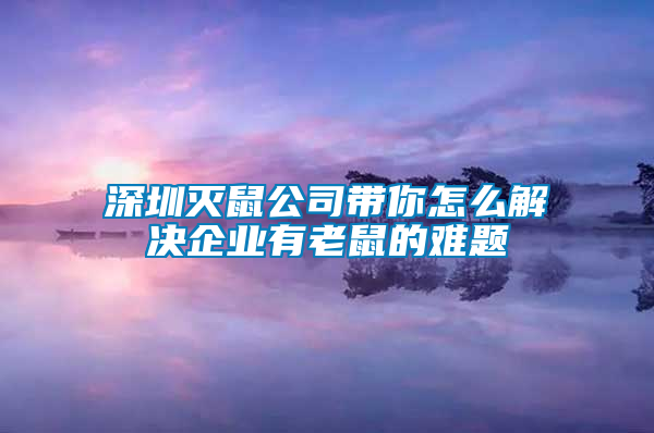 深圳灭鼠公司带你怎么解决企业有老鼠的难题