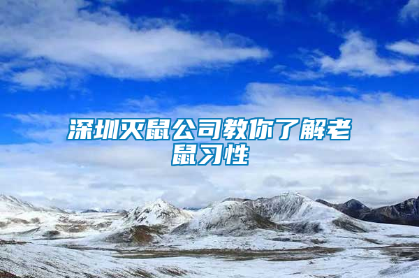 深圳灭鼠公司教你了解老鼠习性