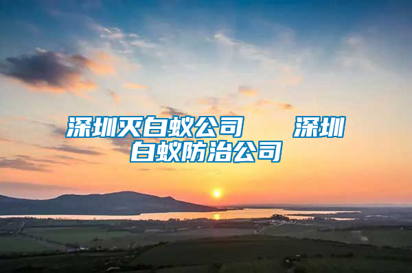 深圳灭白蚁公司   深圳白蚁防治公司