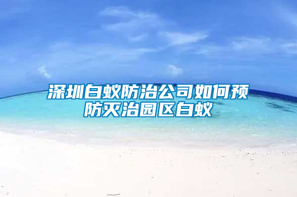 深圳白蚁防治公司如何预防灭治园区白蚁