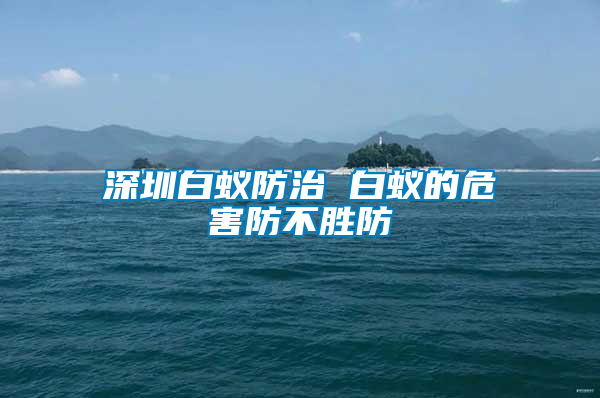 深圳白蚁防治 白蚁的危害防不胜防